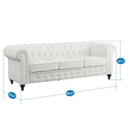 Chesterfield Sofa, Luxurious Comfort for Cozy Living Rooms, Mid-Century Modern Couch, Elegance & Serenity, 3-Seater